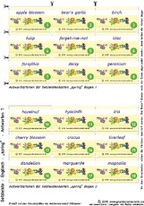 Setzleiste_spring_answers 1.pdf